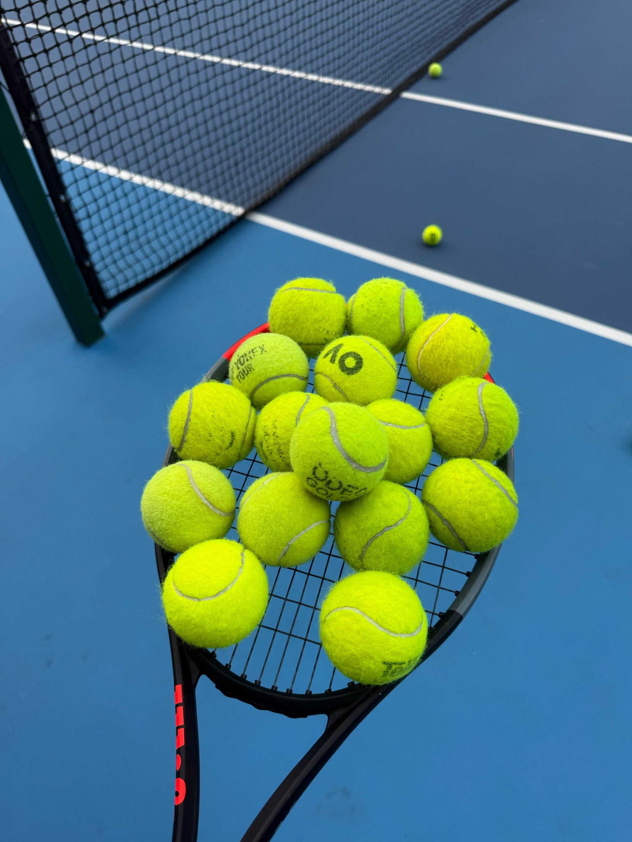 不仅关乎世 不仅关乎世